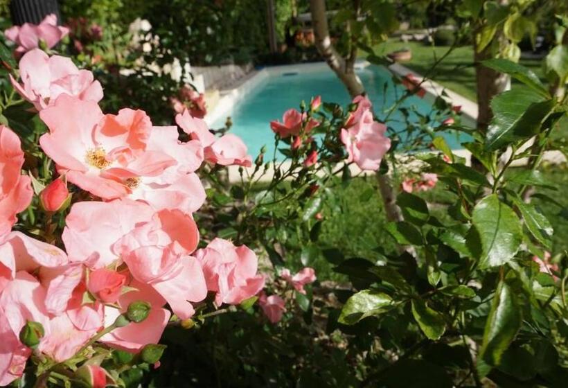 مبيت وإفطار Mary S Dream