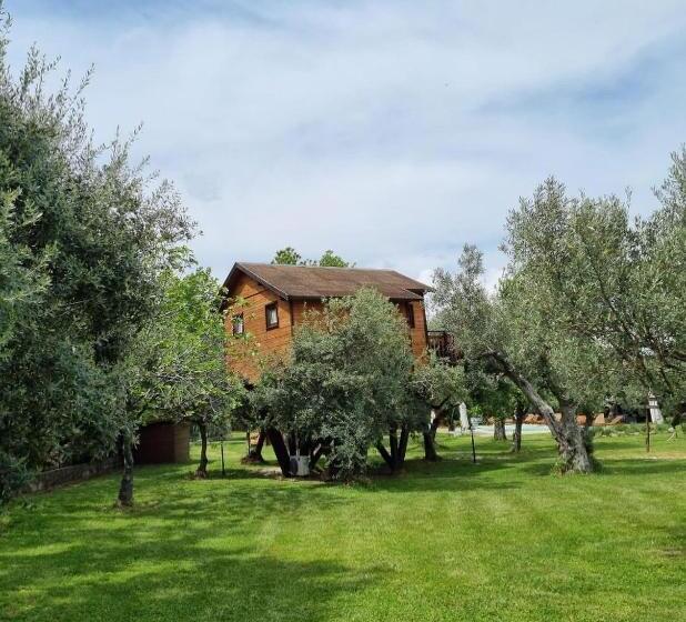 Bed and Breakfast Palazzo Conforti Tree House Resort