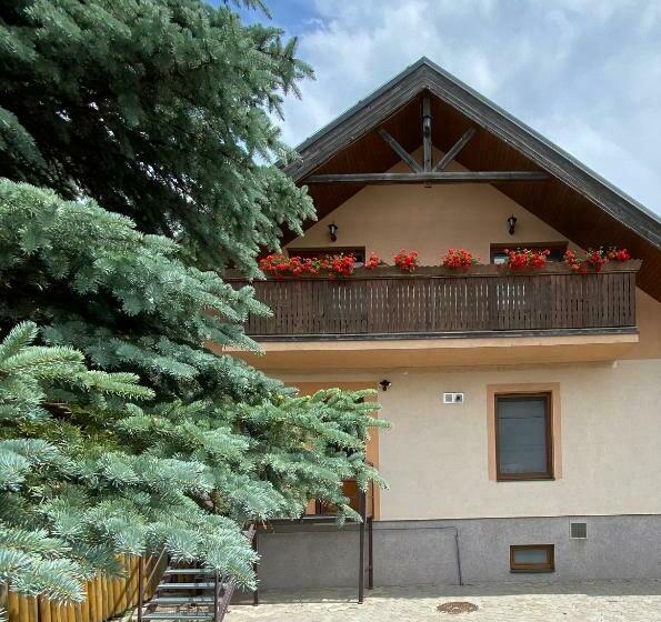 住宿加早餐  Penzión Vila Petra Bed&breakfast
