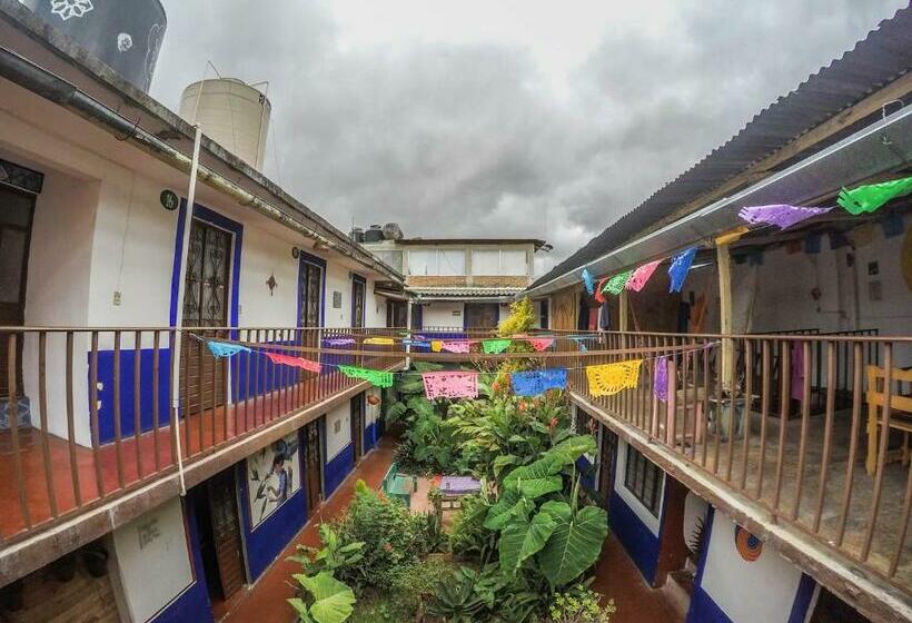 Hostel El Nagual
