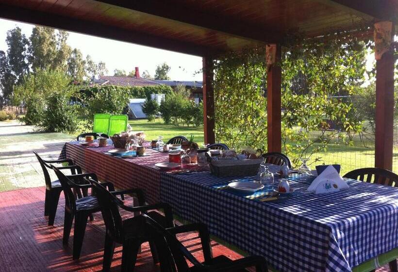 호텔 Agriturismo Monte Majore