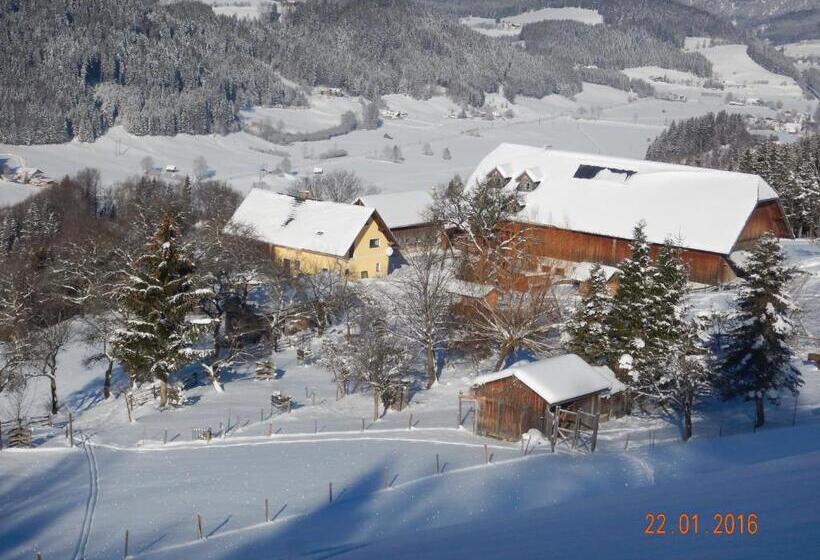 酒店 Berghof Thurnergut