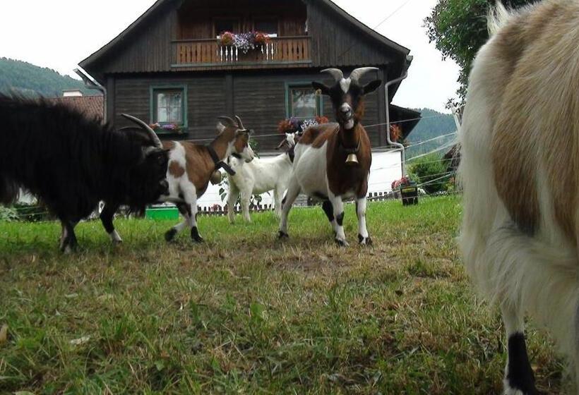 فندق Harreiterhof