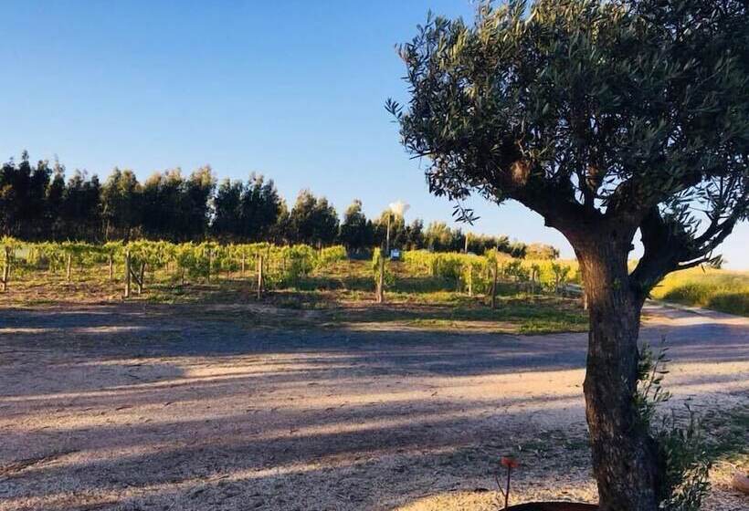 هتل Monte Da Boavista
