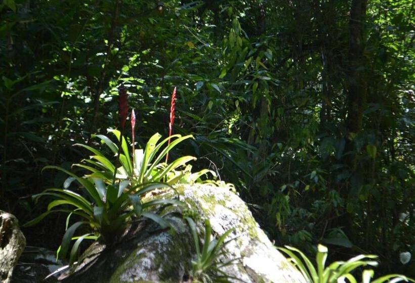 Пансион Pousada Encanto Da Bocaina   Serra Da Bocaina
