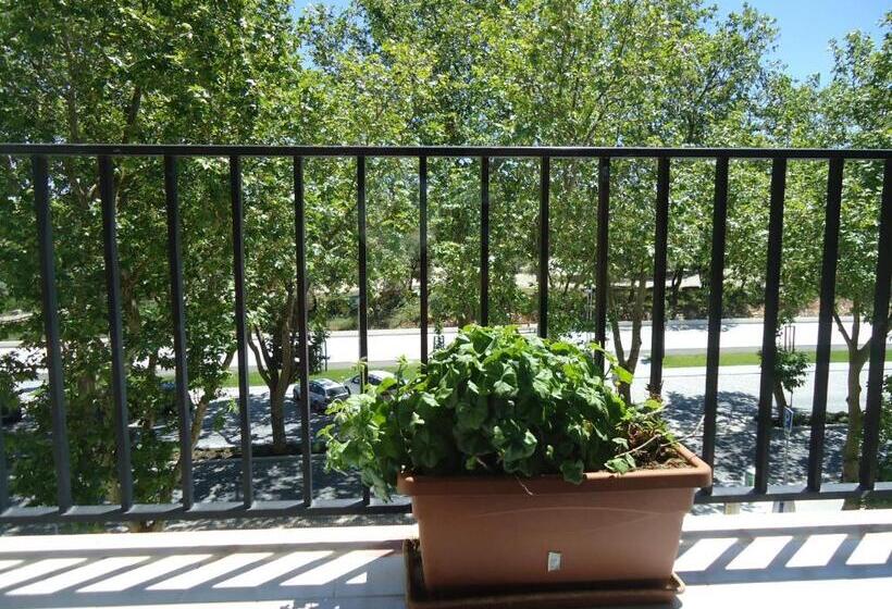 پانسیون Residencial Coroa D Ouro