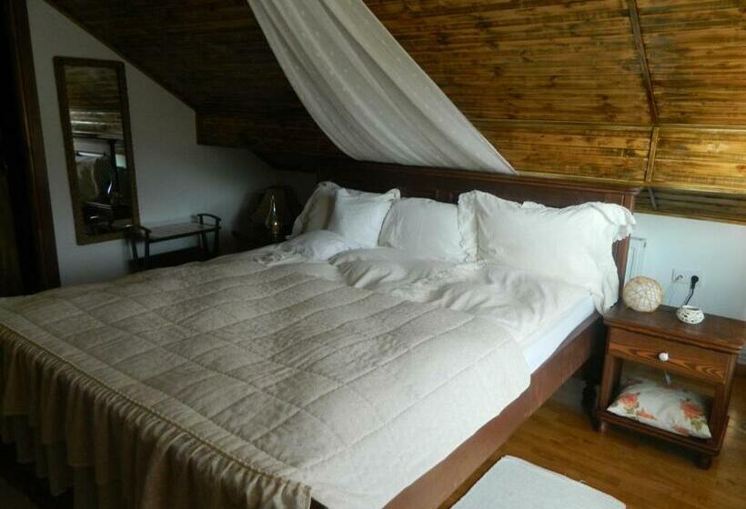 Pensiunea Romantic