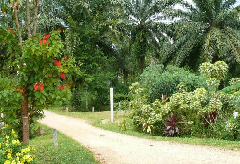 旅馆 Suan Bang Bon Guest House