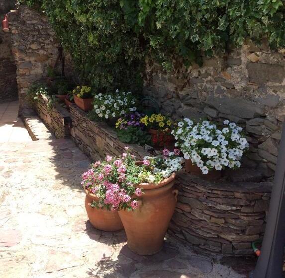 Bed and Breakfast Chambres D Hôtes Sous L Olivier