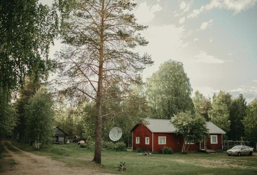Отель Heidin Mummola Farm