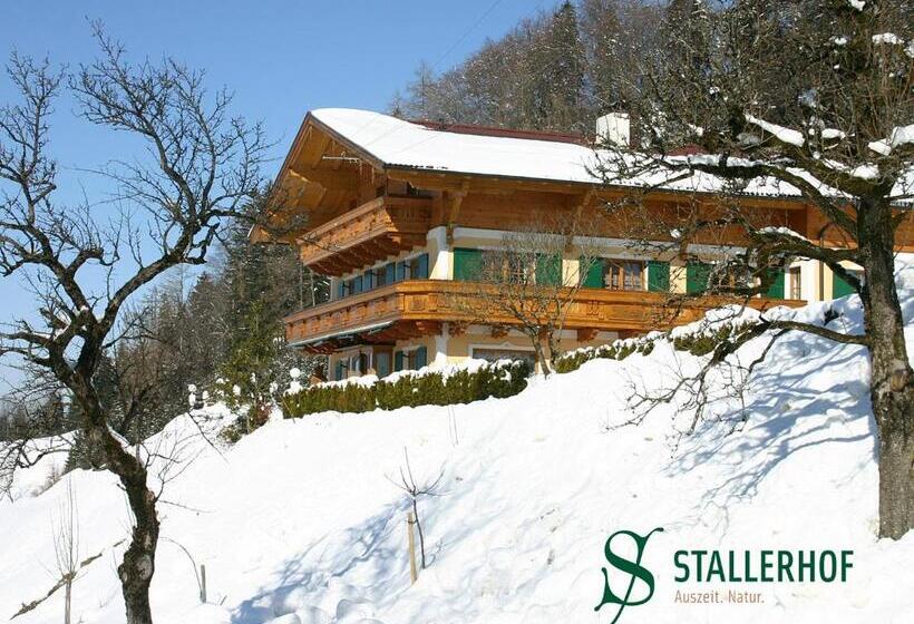 فندق Stallerhof