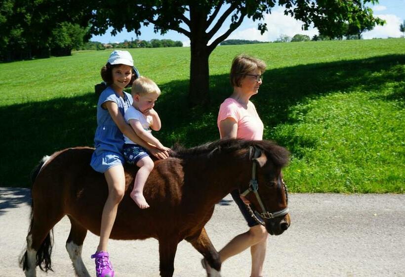 ペンション Familienbauernhof Salmanner