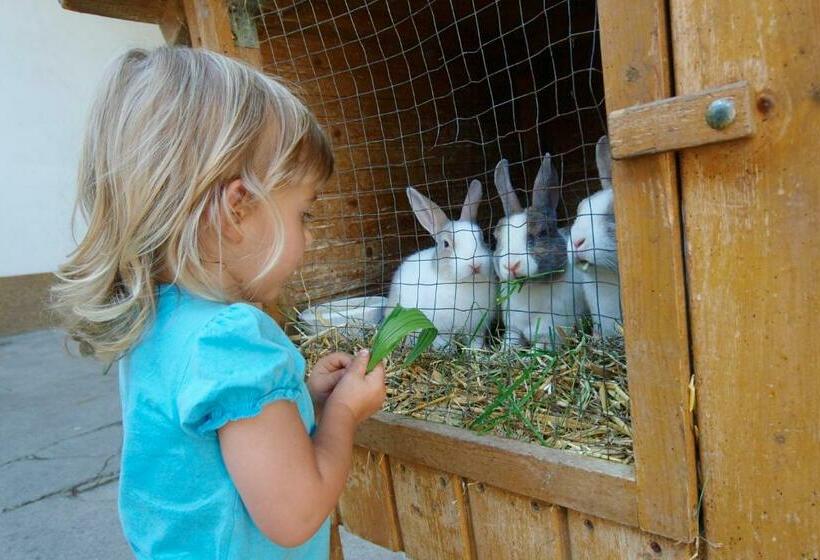 ペンション Familienbauernhof Salmanner