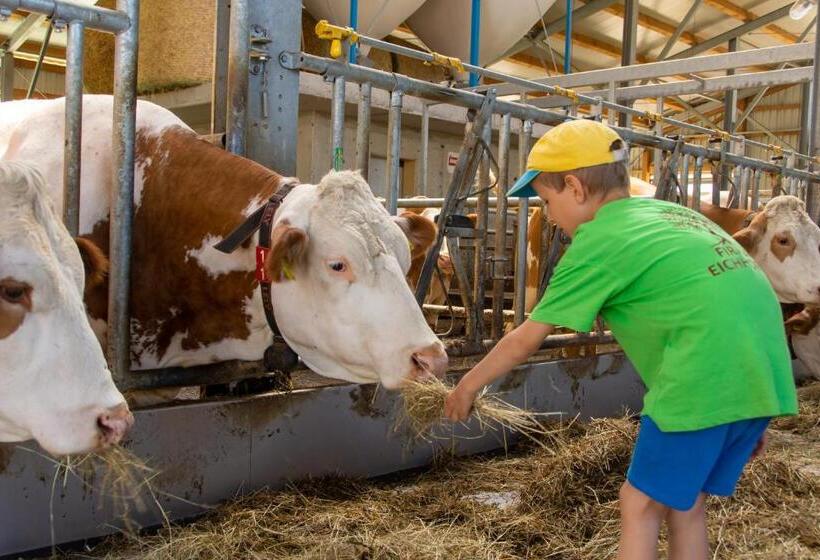 ペンション Familienbauernhof Salmanner