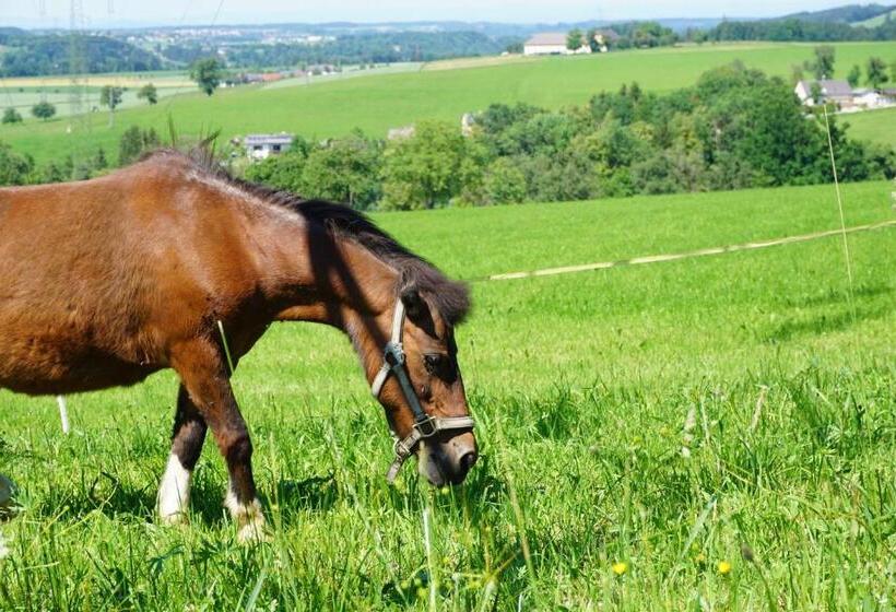ペンション Familienbauernhof Salmanner