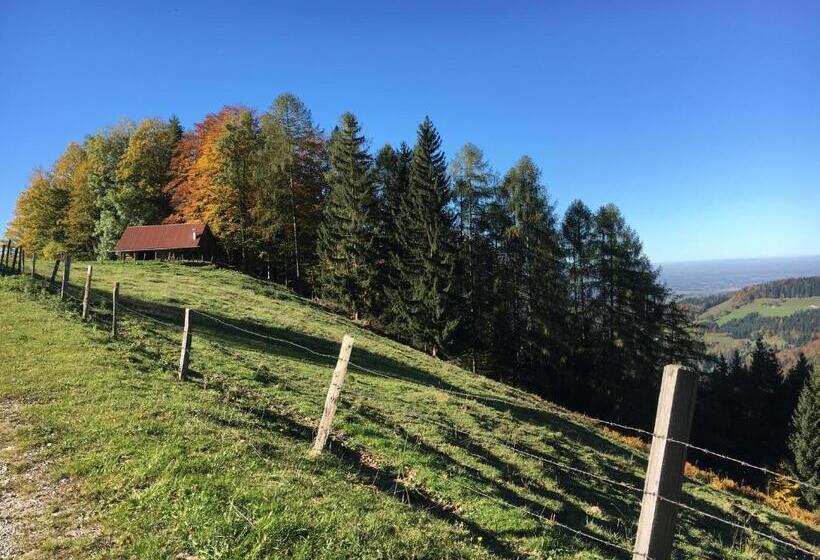 ペンション Familienbauernhof Salmanner