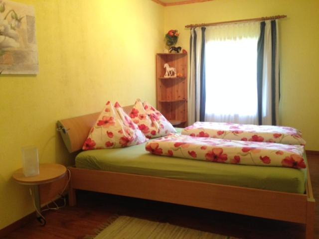 بنسيون Reitbauernhof Schartner