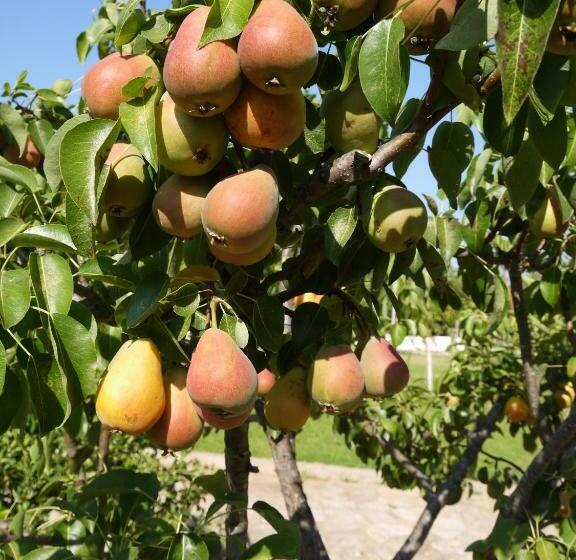 צימר Casal Da Eira