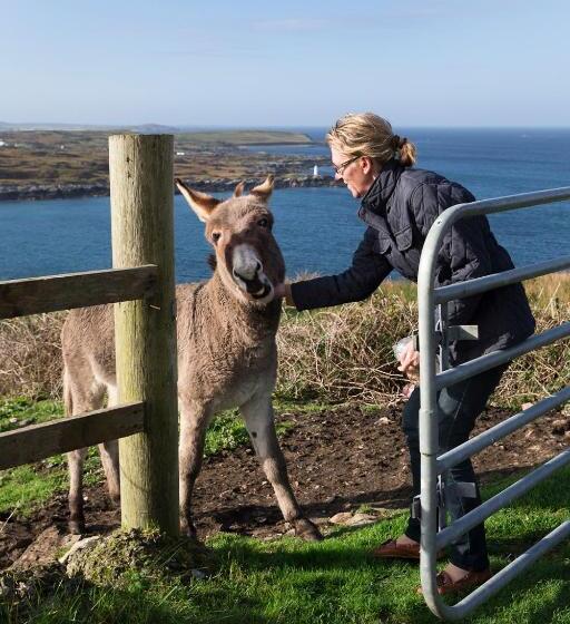 تختخواب و صبحانه Clifden Bay Lodge