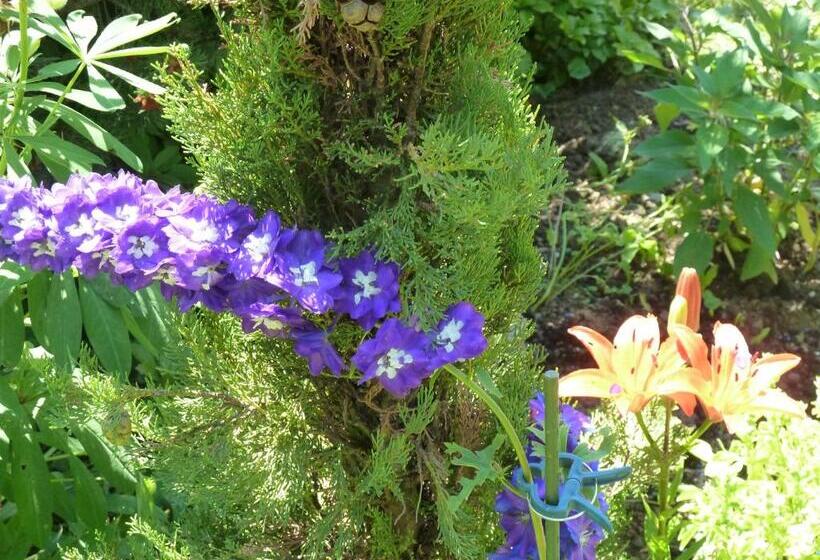 Bed & Breakfast La Val