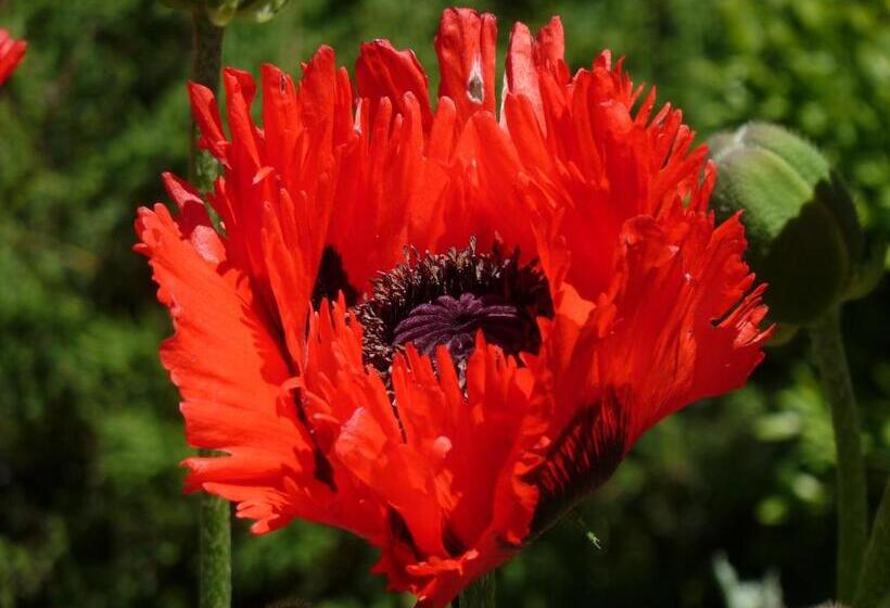 Bed & Breakfast La Val