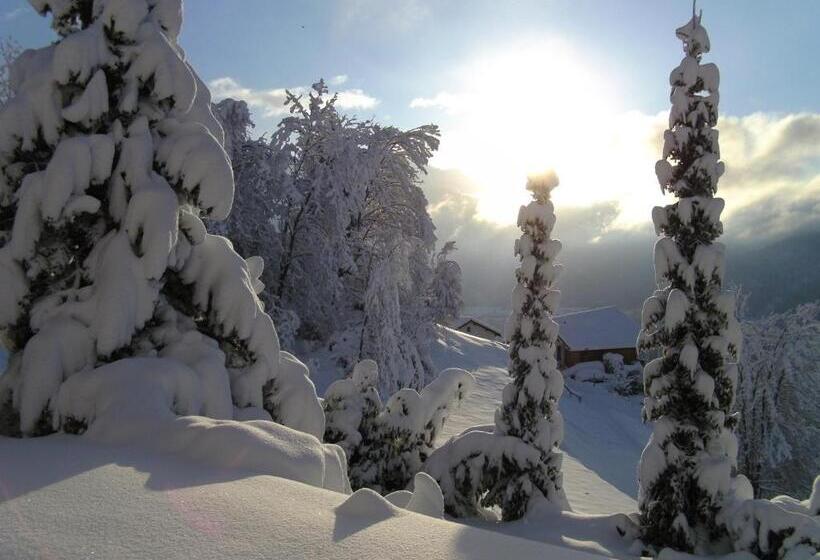 Bed & Breakfast La Val