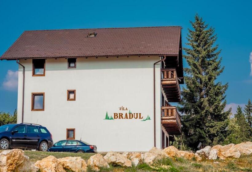 Cheile Gradistei Fundata Resort