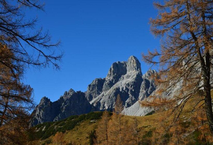 فندق Bio Bauernhof Nichlgut