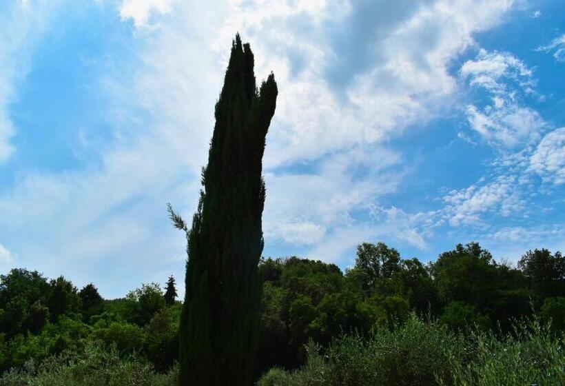 Mezzano In Chianti