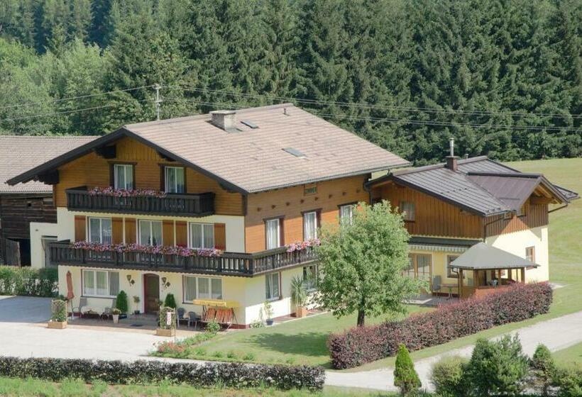 פנסיון Haus Dachstein Schnitzer