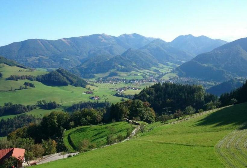 بنسيون Lehnerhof