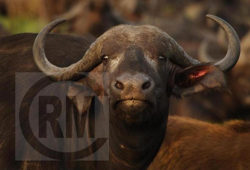 ペンション Le Gallerie Luxury Accommodation