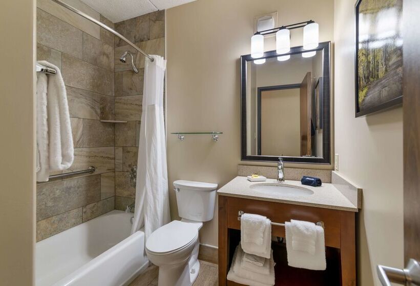בית מלון כפרי Best Western Plus Waterburystowe