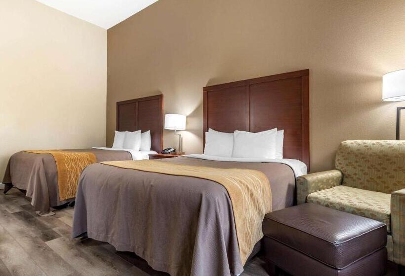 فندق Comfort Inn & Suites