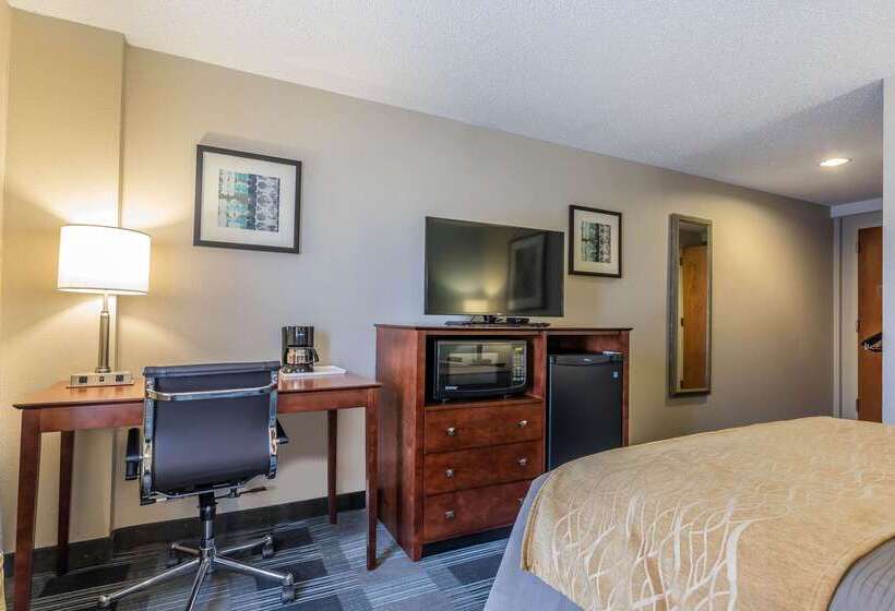 هتل Comfort Inn Sw Omaha I80