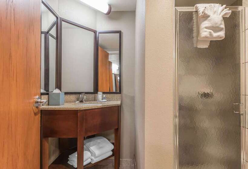 هتل Comfort Inn Sw Omaha I80
