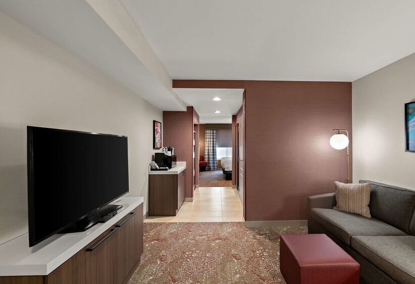 هتل Hilton Garden Inn Omaha East/council Bluffs