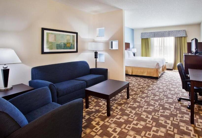 هتل Holiday Inn Express  & Suites Atlanta Airport West  Camp Creek