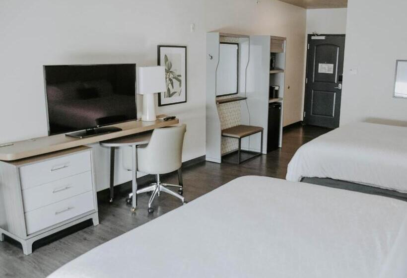 هتل Holiday Inn Omaha Downtown   Waterpark, An Ihg