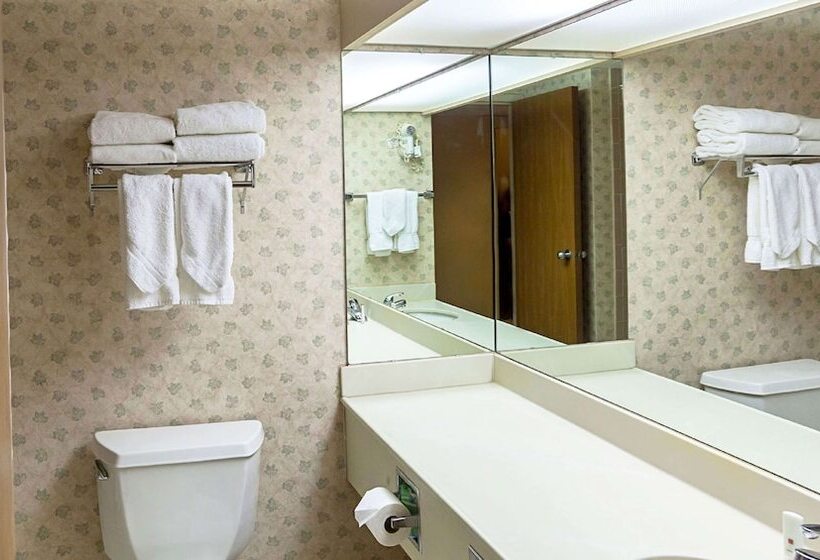 בית מלון כפרי Magnuson Grand Desoto