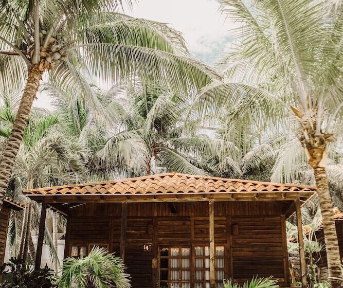 Hotel Petit Lafitte Beach Front  & Bungalows