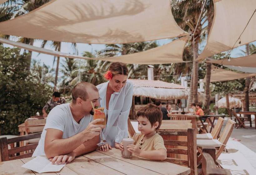 Fotos del hotel Petit Lafitte:  4