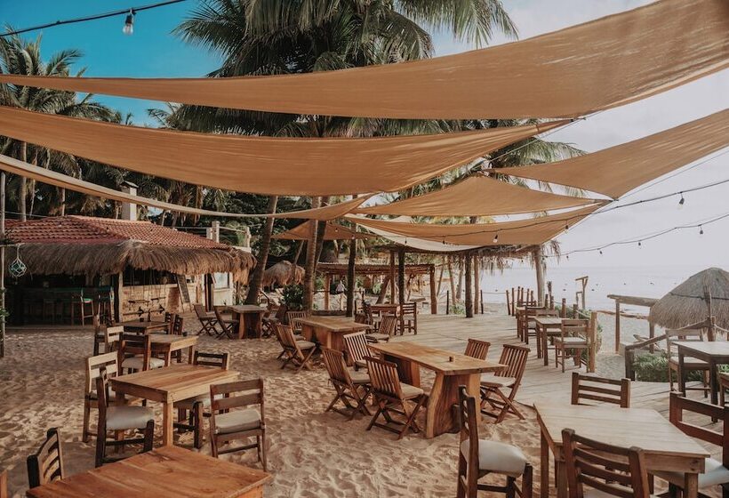 Fotos del hotel Petit Lafitte:  9