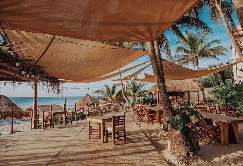 Fotos del hotel Petit Lafitte:  10