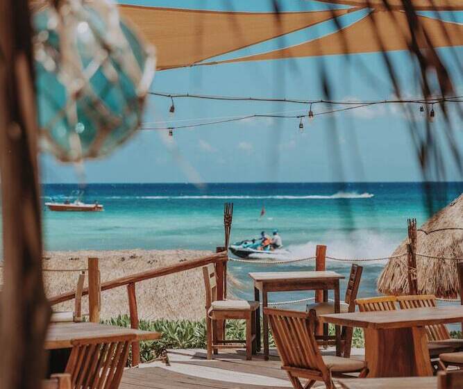 Fotos del hotel Petit Lafitte:  11