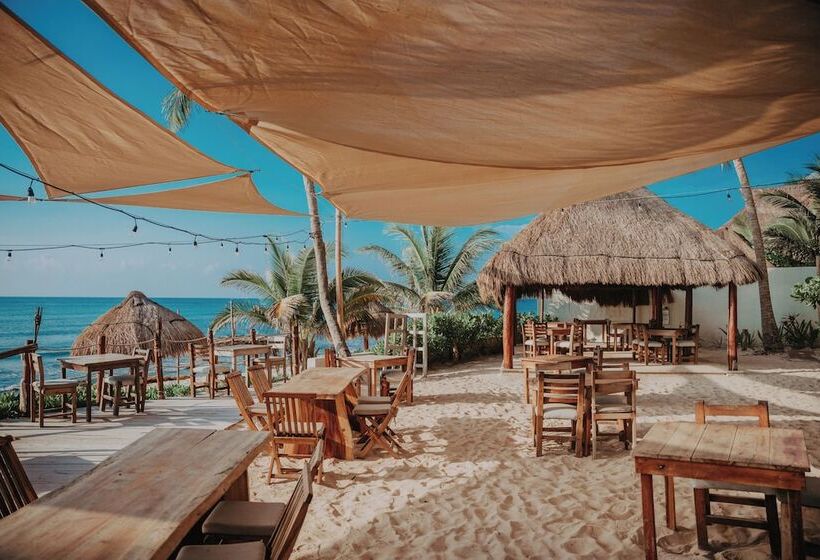 Fotos del hotel Petit Lafitte:  12