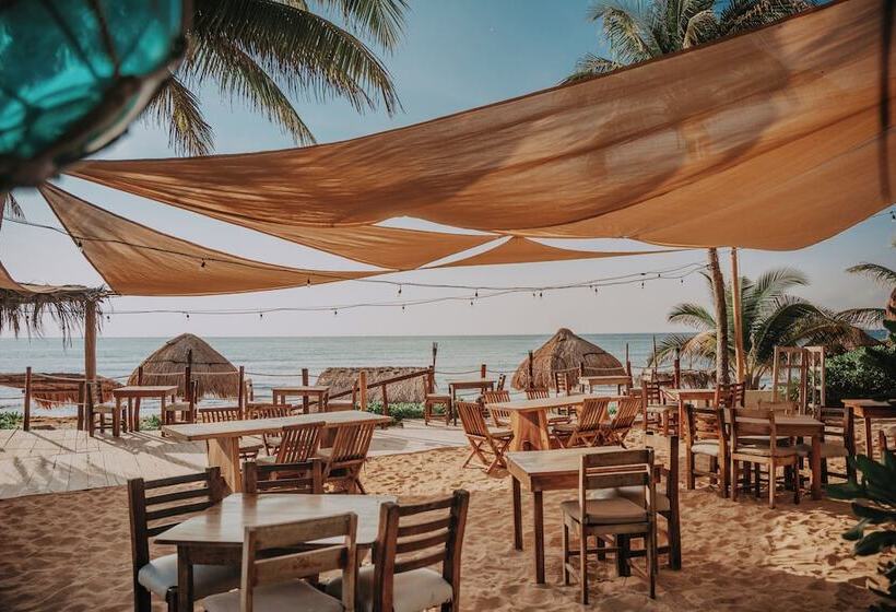 Fotos del hotel Petit Lafitte:  14