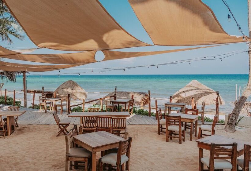 Fotos del hotel Petit Lafitte:  15