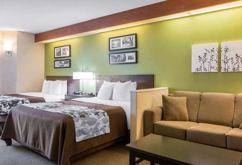 酒店 Sleep Inn & Suites