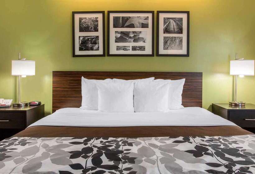 酒店 Sleep Inn & Suites